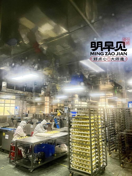 明早見中央智慧工廠 8000平米賦能，重塑包點行業完整供應鏈