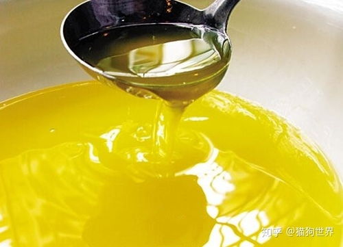 深耕品質，賦能品牌 探尋中國優質寵物食品OEM代工與供應鏈管理服務