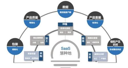 36氪首發 | 中農普惠獲4000萬元Pre-A輪融資，以種植SaaS為基石，深耕果蔬供應鏈服務